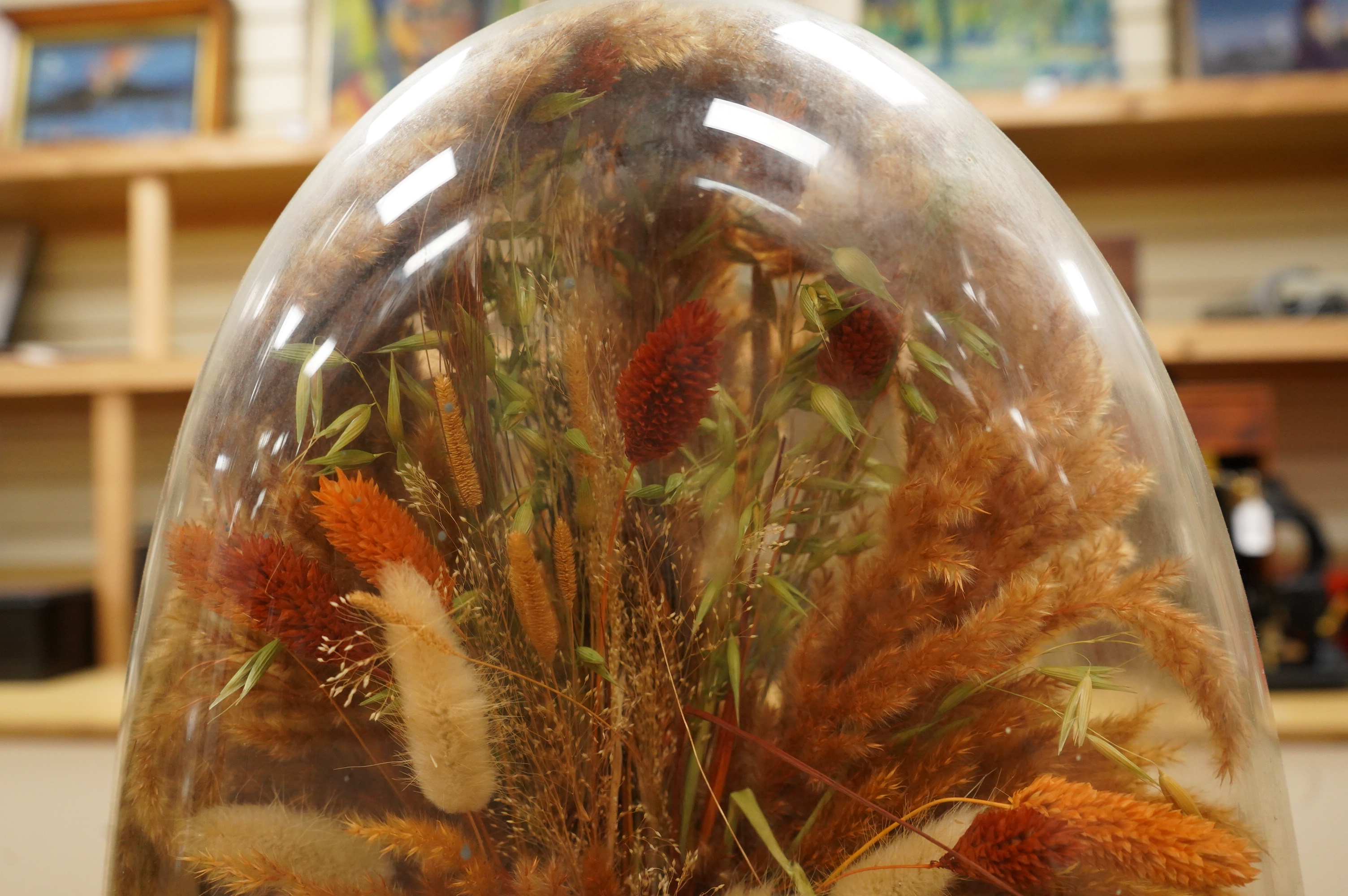Two Victorian fauna displays under domes with ebonised bases, containing dried grasses and flowerheads, together with fabric butterflies, tallest 46cm, both af